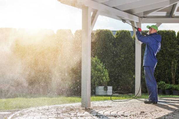 Best Gutter Cleaning and Brightening in Avilla, IN
